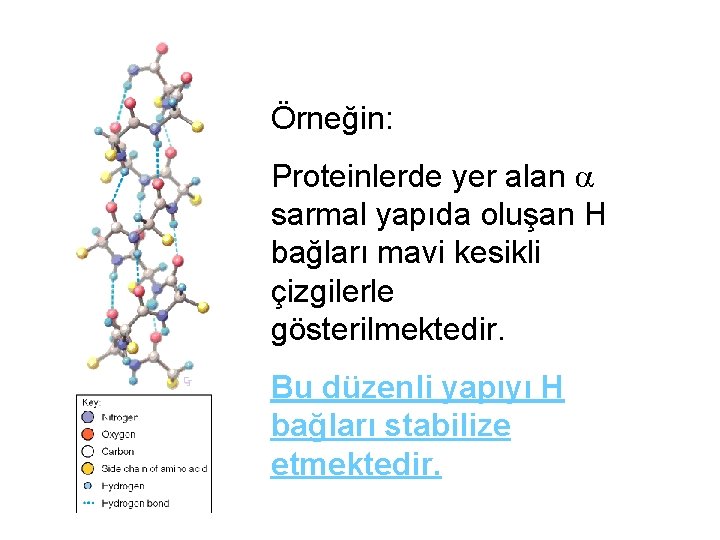 Örneğin: Proteinlerde yer alan sarmal yapıda oluşan H bağları mavi kesikli çizgilerle gösterilmektedir. Bu