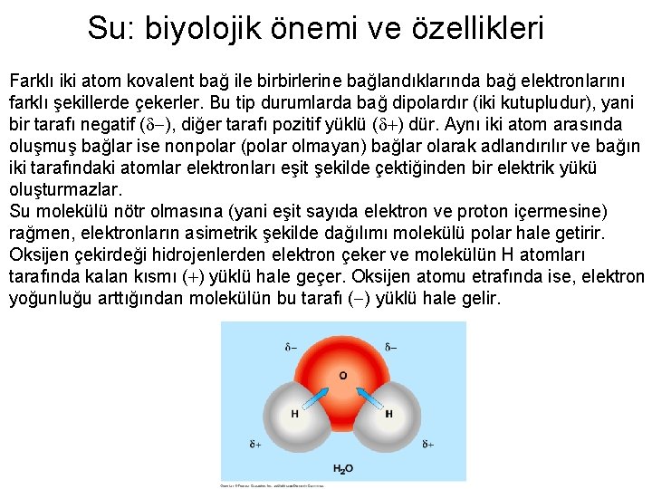 Su: biyolojik önemi ve özellikleri Farklı iki atom kovalent bağ ile birbirlerine bağlandıklarında bağ