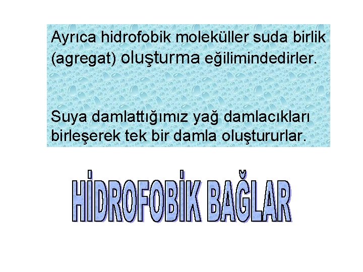 Ayrıca hidrofobik moleküller suda birlik (agregat) oluşturma eğilimindedirler. Suya damlattığımız yağ damlacıkları birleşerek tek