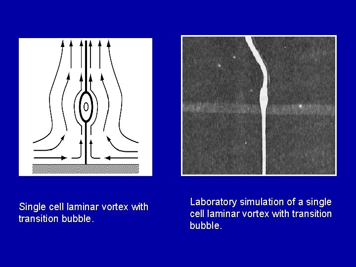 Single cell laminar vortex with transition bubble. Laboratory simulation of a single cell laminar