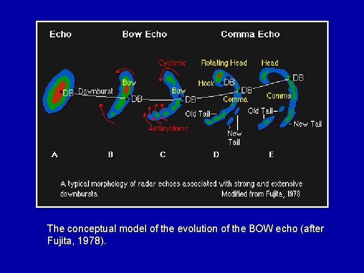 The conceptual model of the evolution of the BOW echo (after Fujita, 1978). 