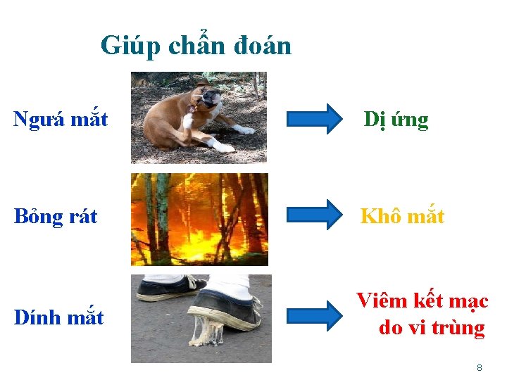 Giúp chẩn đoán Ngưá mắt Bỏng rát Dính mắt Dị ứng Khô mắt Viêm