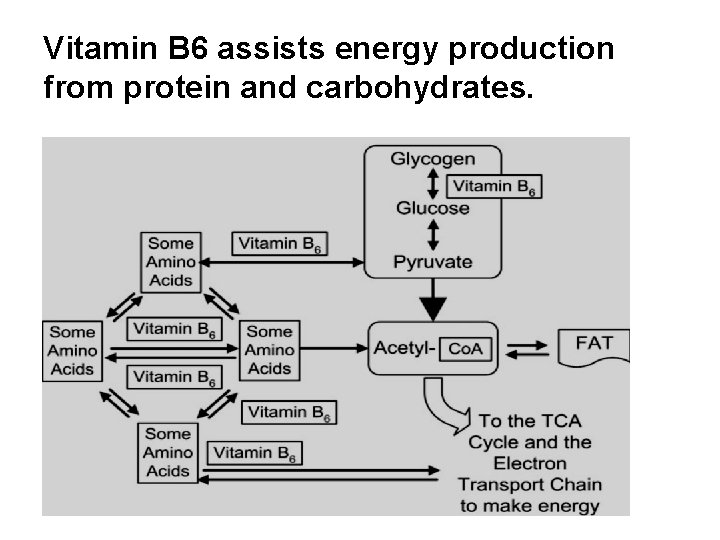 Vitamin B 6 assists energy production from protein and carbohydrates. 