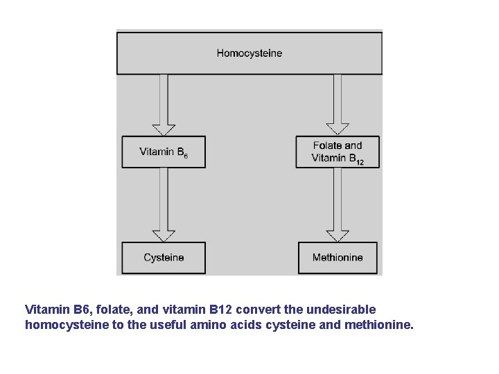 Vitamin B 6, folate, and vitamin B 12 convert the undesirable homocysteine to the