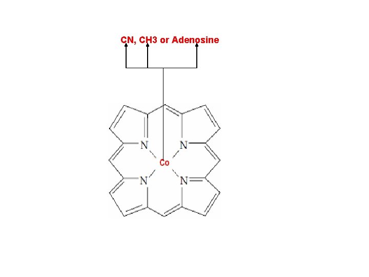 CN, CH 3 or Adenosine 