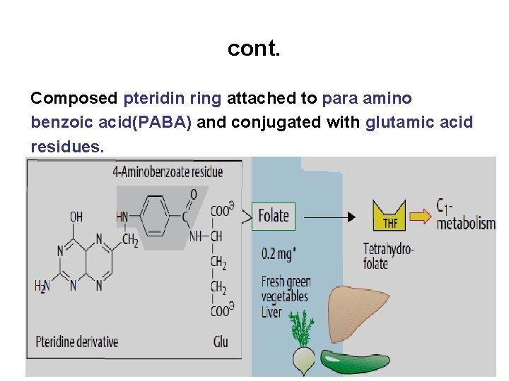 cont. Composed pteridin ring attached to para amino benzoic acid(PABA) and conjugated with glutamic