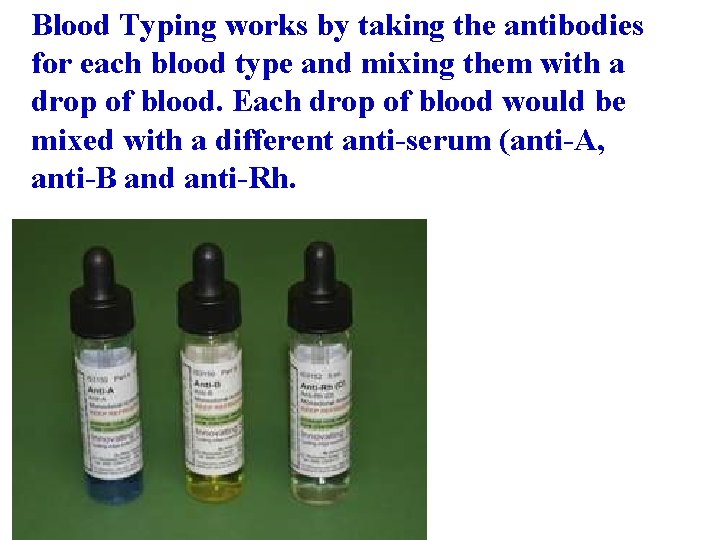 Blood Typing works by taking the antibodies for each blood type and mixing them Blood Typing works by taking the antibodies for each blood type and mixing them
