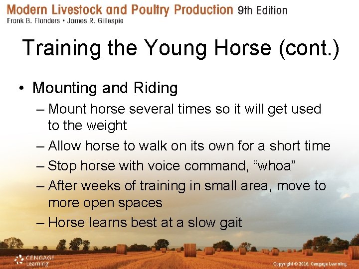 Training the Young Horse (cont. ) • Mounting and Riding – Mount horse several