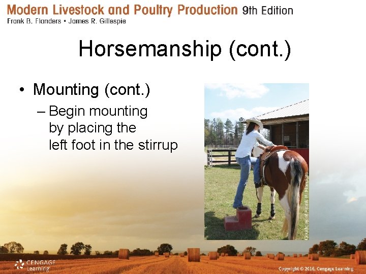 Horsemanship (cont. ) • Mounting (cont. ) – Begin mounting by placing the left
