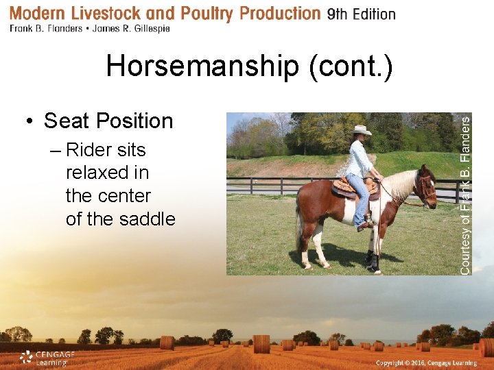 Horsemanship (cont. ) • Seat Position – Rider sits relaxed in the center of