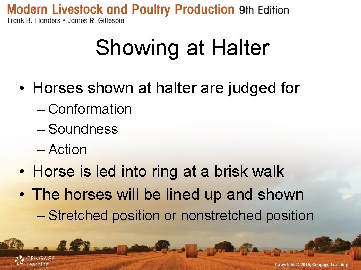 Showing at Halter • Horses shown at halter are judged for – Conformation –