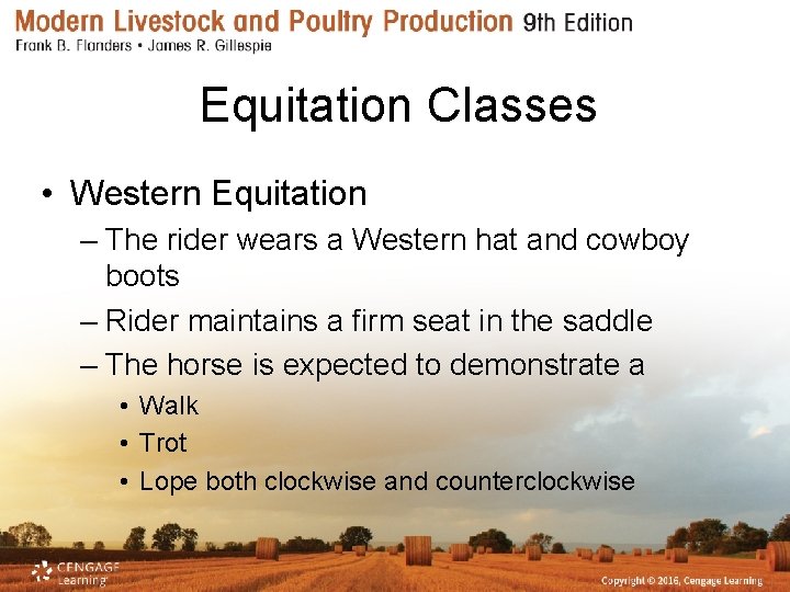 Equitation Classes • Western Equitation – The rider wears a Western hat and cowboy