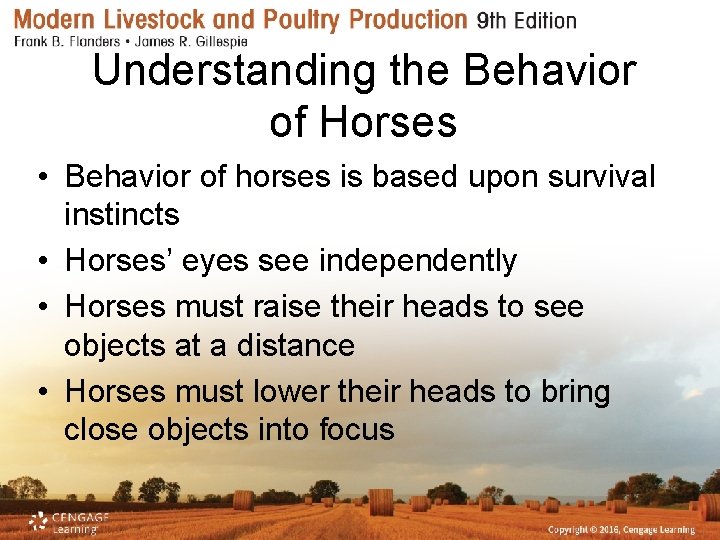 Understanding the Behavior of Horses • Behavior of horses is based upon survival instincts