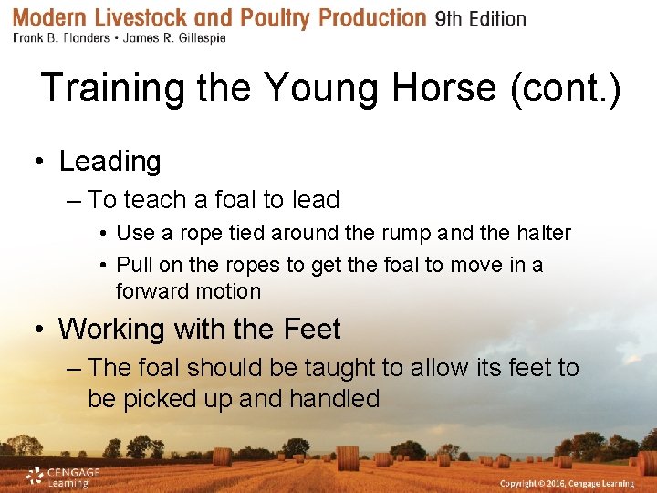 Training the Young Horse (cont. ) • Leading – To teach a foal to