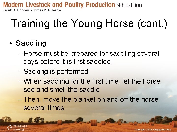 Training the Young Horse (cont. ) • Saddling – Horse must be prepared for