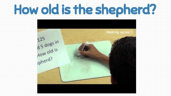 How old is the shepherd? 