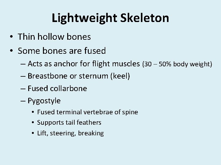 Lightweight Skeleton • Thin hollow bones • Some bones are fused – Acts as