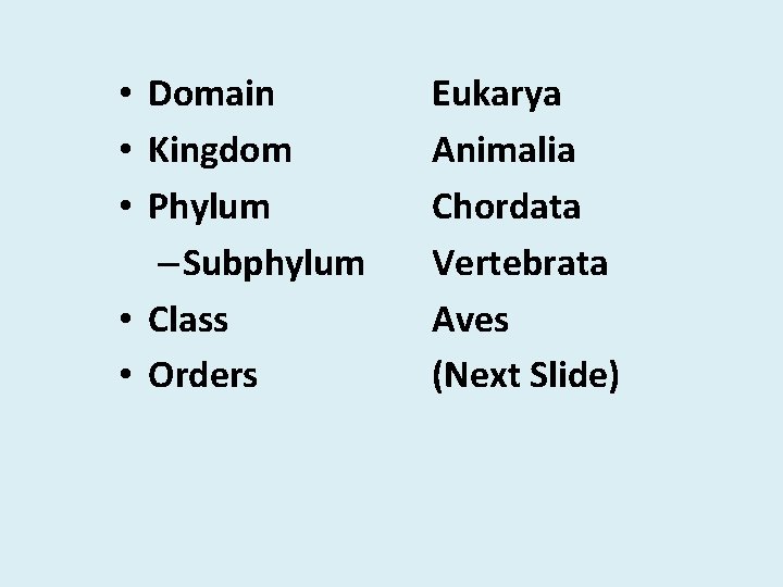  • Domain • Kingdom • Phylum – Subphylum • Class • Orders Eukarya