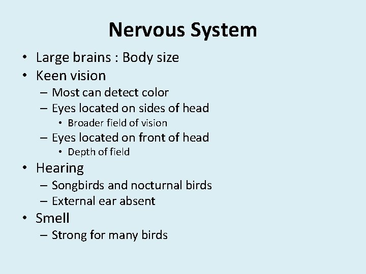 Nervous System • Large brains : Body size • Keen vision – Most can