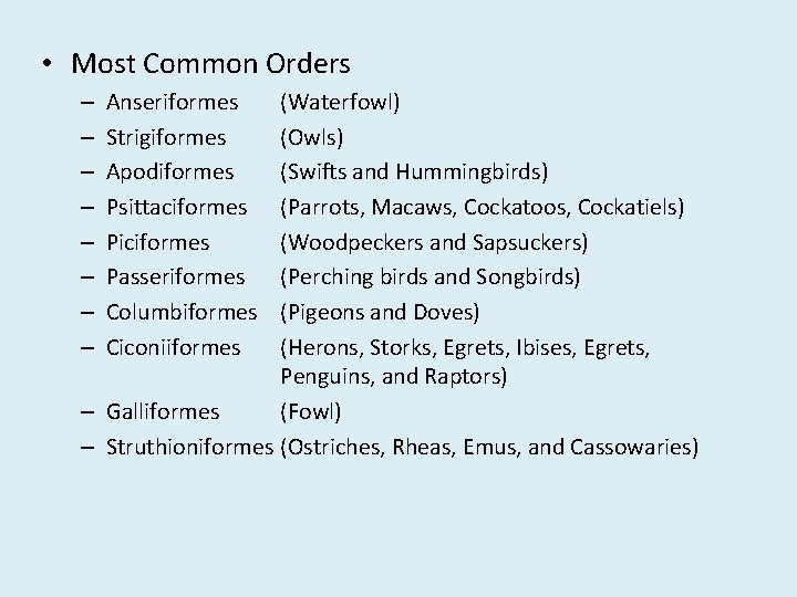  • Most Common Orders (Waterfowl) (Owls) (Swifts and Hummingbirds) (Parrots, Macaws, Cockatoos, Cockatiels)