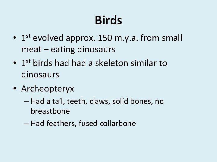 Birds • 1 st evolved approx. 150 m. y. a. from small meat –