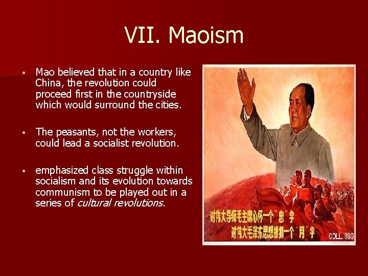 VII. Maoism • Mao believed that in a country like China, the revolution could
