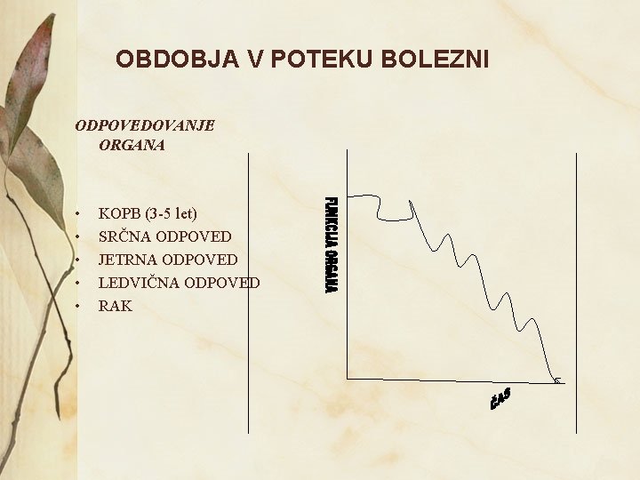 OBDOBJA V POTEKU BOLEZNI ODPOVEDOVANJE ORGANA • • • KOPB (3 -5 let) SRČNA