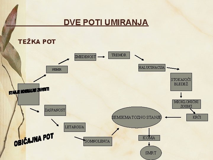 DVE POTI UMIRANJA TEŽKA POT ZMEDENOST TREMOR HALUCINACIJA NEMIR STOKAJOČI BLEDEŽ MIOKLONIČNI ZGIBKI ZASPANOST