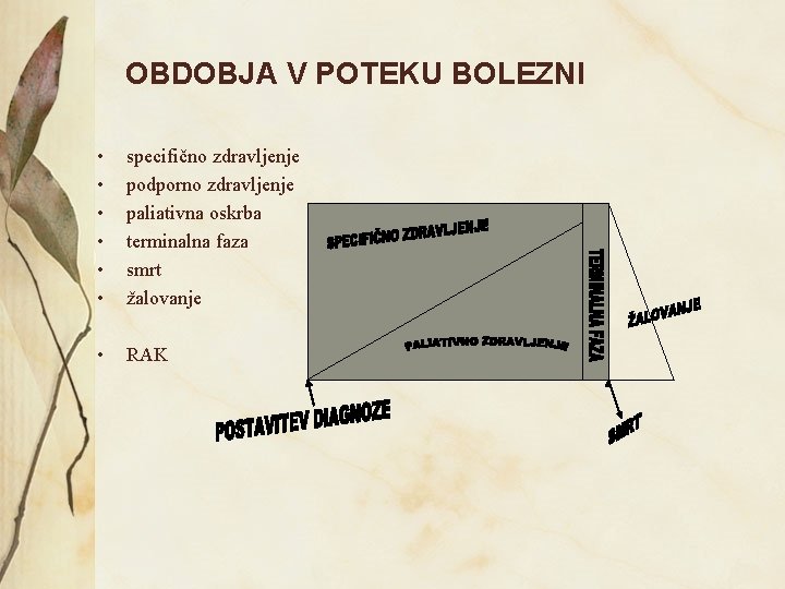 OBDOBJA V POTEKU BOLEZNI • • • specifično zdravljenje podporno zdravljenje paliativna oskrba terminalna