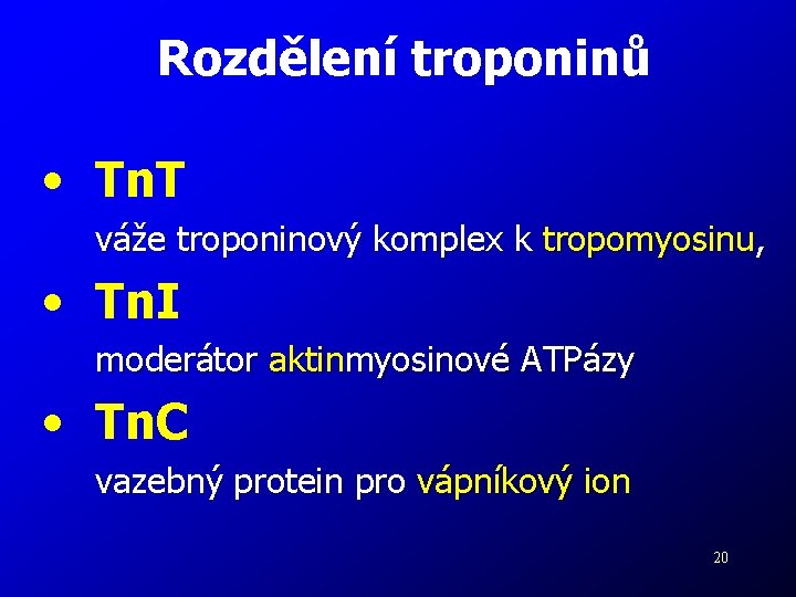 Rozdělení troponinů • Tn. T váže troponinový komplex k tropomyosinu, • Tn. I moderátor