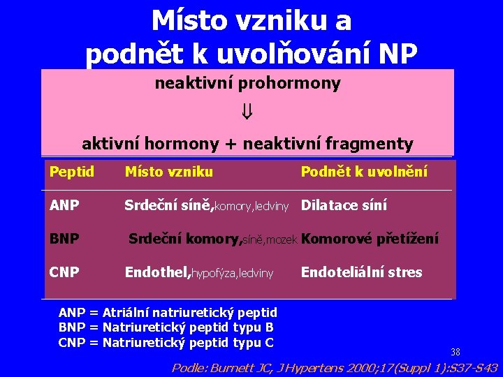 Místo vzniku a podnět k uvolňování NP neaktivní prohormony aktivní hormony + neaktivní fragmenty