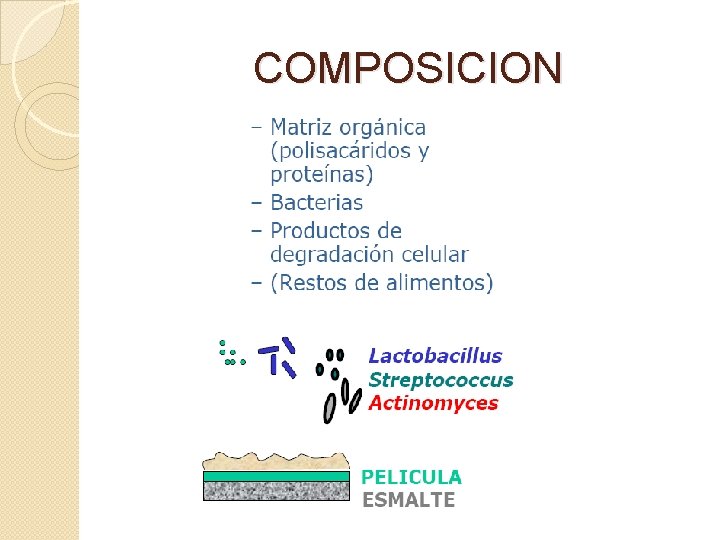 COMPOSICION 