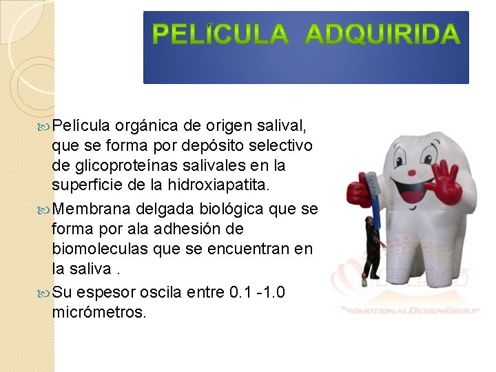  Película orgánica de origen salival, que se forma por depósito selectivo de glicoproteínas