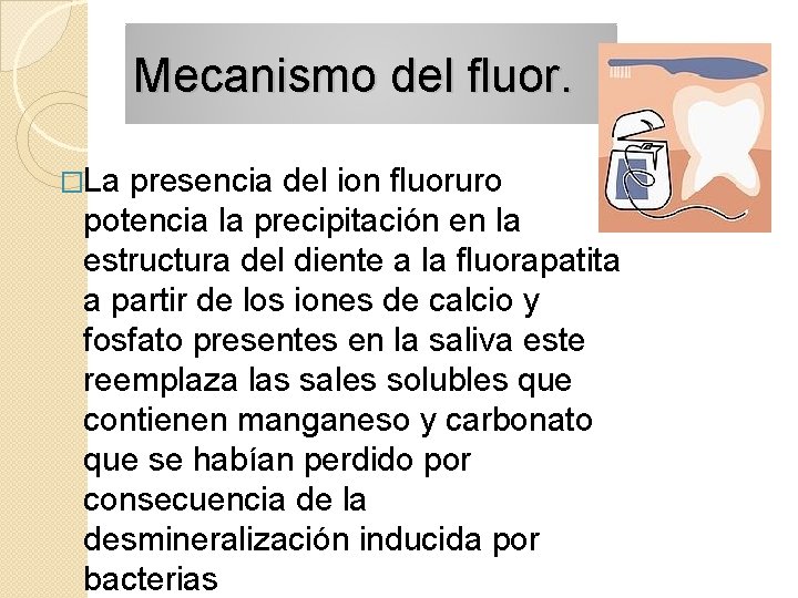 Mecanismo del fluor. �La presencia del ion fluoruro potencia la precipitación en la estructura