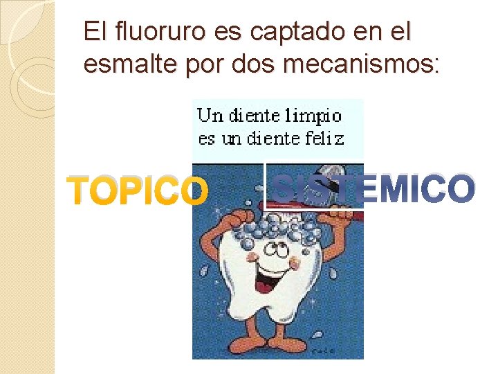 El fluoruro es captado en el esmalte por dos mecanismos: TOPICO SISTEMICO 