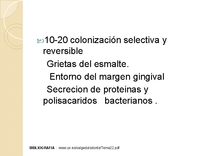  10 -20 colonización selectiva y reversible Grietas del esmalte. Entorno del margen gingival