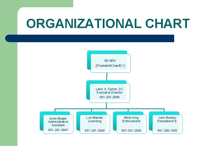 ORGANIZATIONAL CHART BOARD (President/Chair/EC) Larry A. Spicer, DC Executive Director 651 -201 -2846 Anne