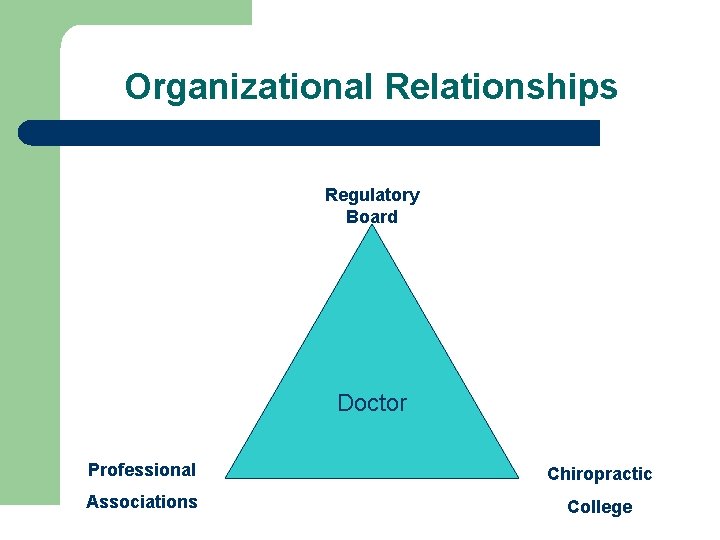 Organizational Relationships Regulatory Board Doctor Professional Chiropractic Associations College 