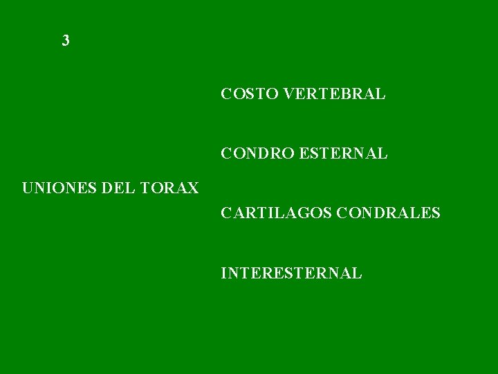 3 COSTO VERTEBRAL CONDRO ESTERNAL UNIONES DEL TORAX CARTILAGOS CONDRALES INTERESTERNAL 