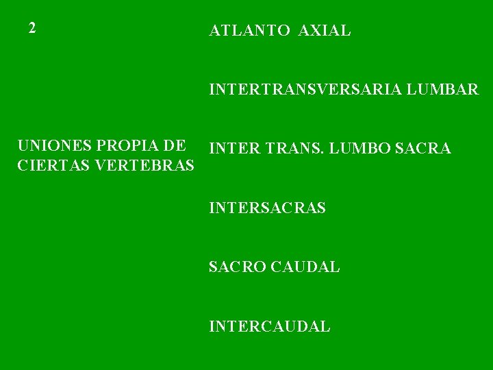 2 ATLANTO AXIAL INTERTRANSVERSARIA LUMBAR UNIONES PROPIA DE INTER TRANS. LUMBO SACRA CIERTAS VERTEBRAS