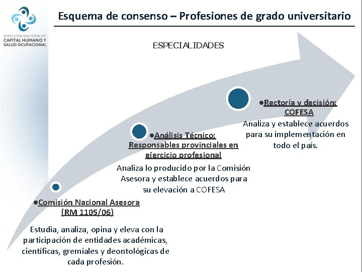 Esquema de consenso – Profesiones de grado universitario ESPECIALIDADES l. Rectoría y decisión: COFESA