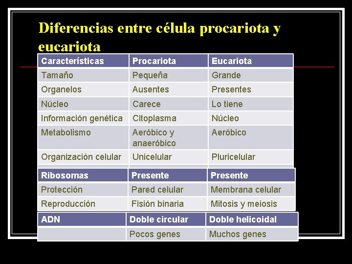 Diferencias entre célula procariota y eucariota Características Procariota Eucariota Tamaño Pequeña Grande Organelos Ausentes