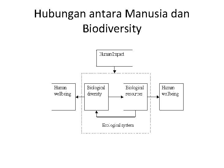 Hubungan antara Manusia dan Biodiversity 