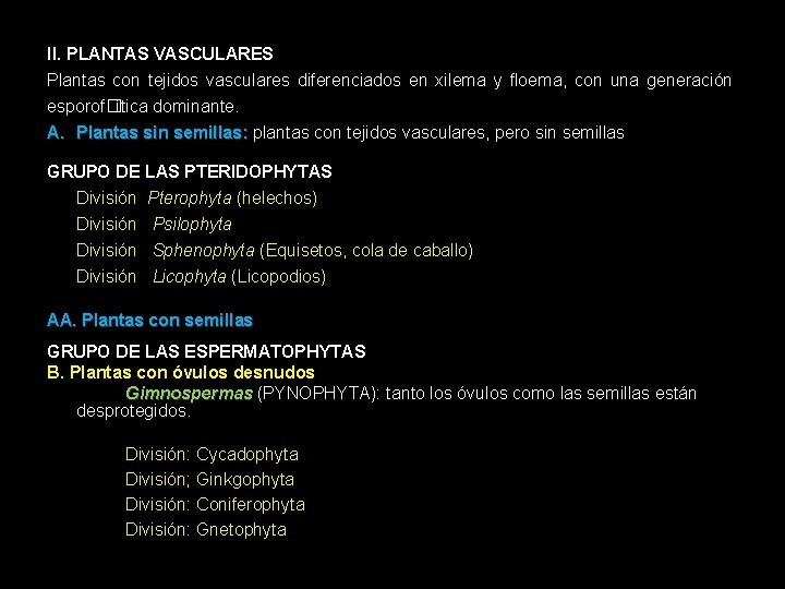 II. PLANTAS VASCULARES Plantas con tejidos vasculares diferenciados en xilema y floema, con una