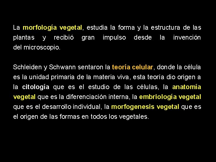 La morfología vegetal, estudia la forma y la estructura de las plantas y recibió