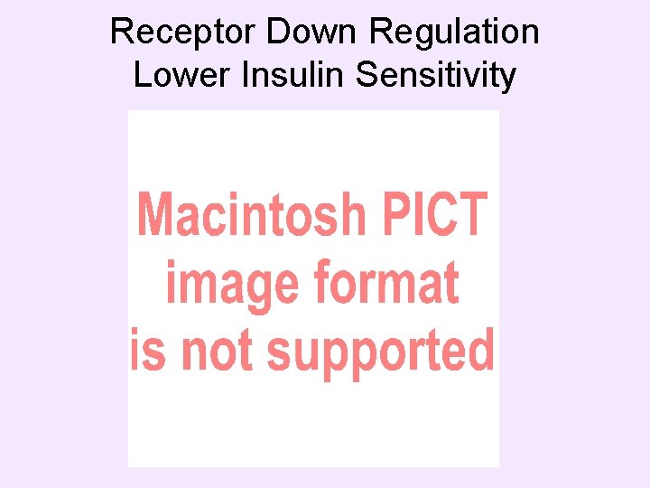 Receptor Down Regulation Lower Insulin Sensitivity 