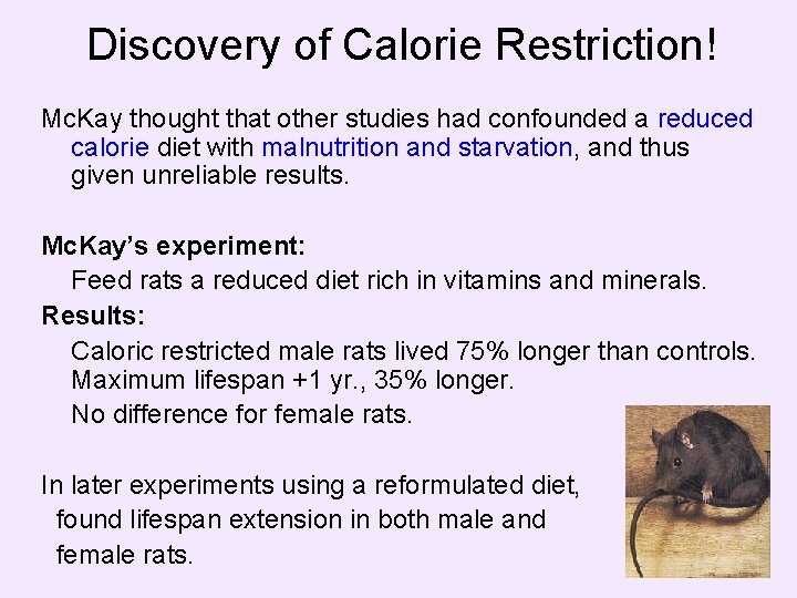 Discovery of Calorie Restriction! Mc. Kay thought that other studies had confounded a reduced