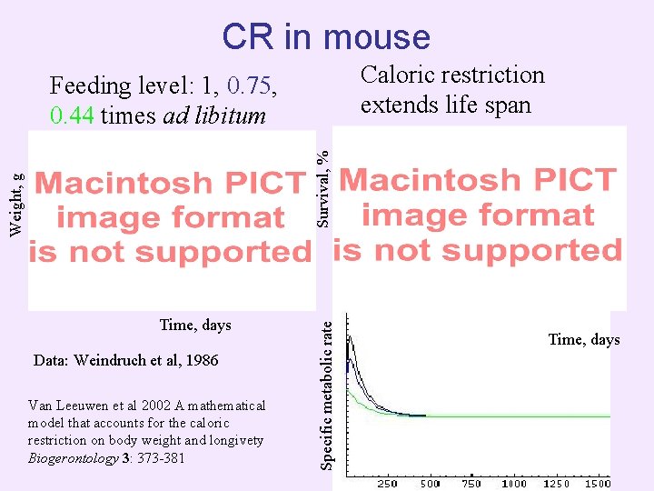 CR in mouse Caloric restriction extends life span Time, days Data: Weindruch et al,