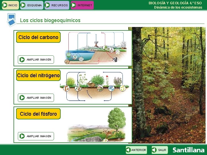 INICIO ESQUEMA RECURSOS BIOLOGÍA Y GEOLOGÍA 4. º ESO Dinámica de los ecosistemas INTERNET