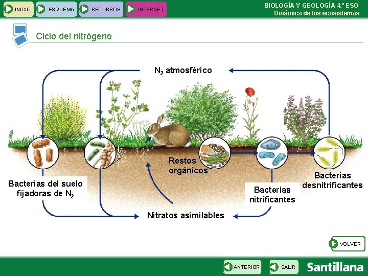 INICIO ESQUEMA RECURSOS BIOLOGÍA Y GEOLOGÍA 4. º ESO Dinámica de los ecosistemas INTERNET